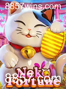 Desbravando o Mundo de NekoFortune